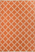 Aicha2 Moroccan Modern Orange Rug - famerugs